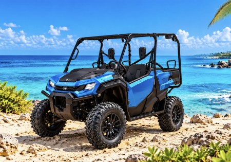 4 Seat UTV Honda Pioneer